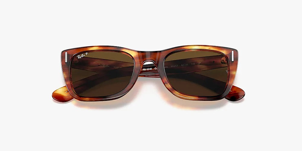 RayBan Suns RB2248