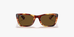 RayBan Suns RB2248