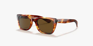 RayBan Suns RB2248